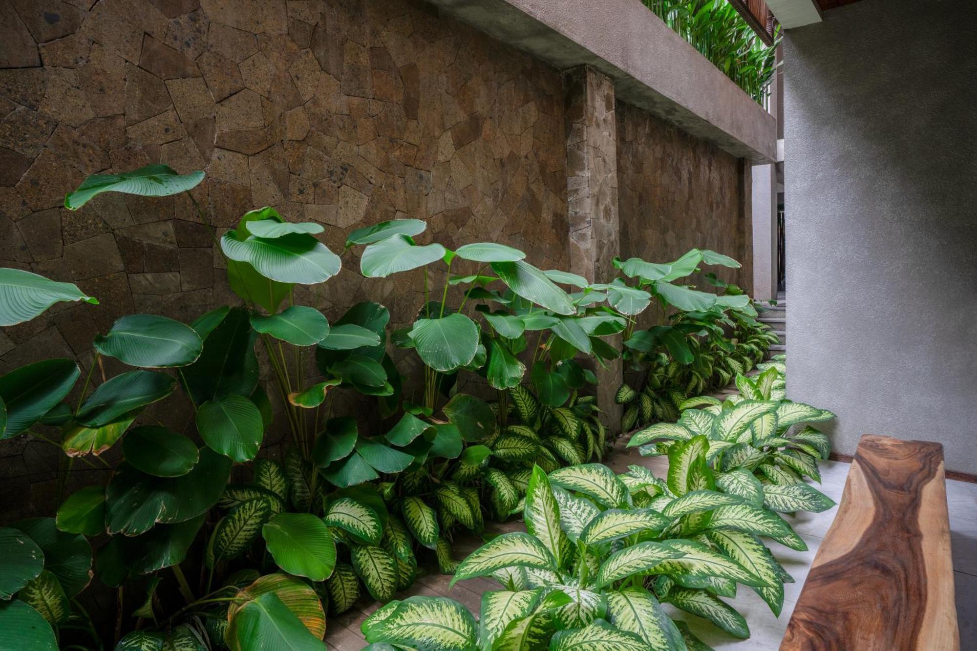Kammora Living And Villas - Bali Invest Club チャングー エクステリア 写真